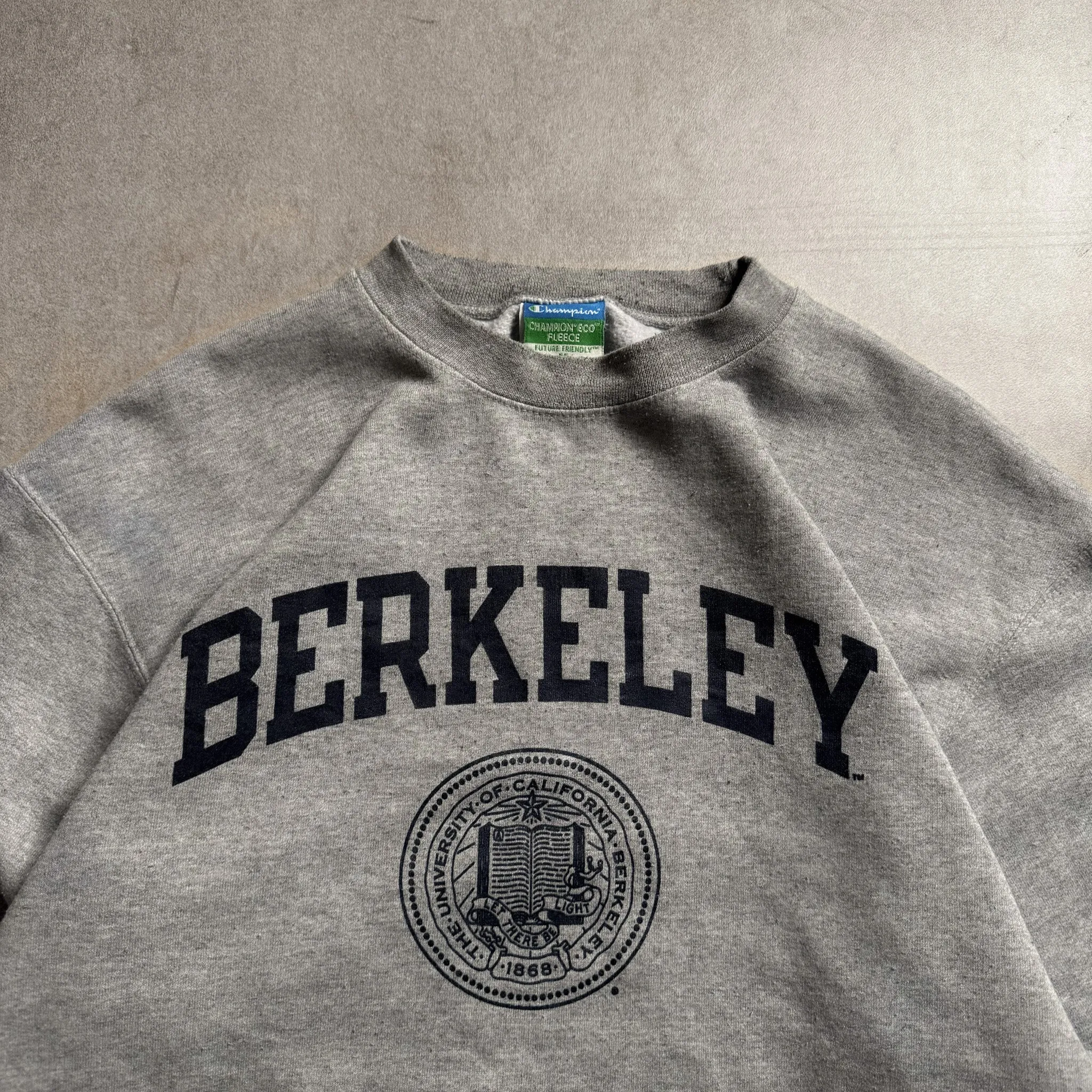 2000s Champion Eco Fleece Berkeley Grey Sweater - M