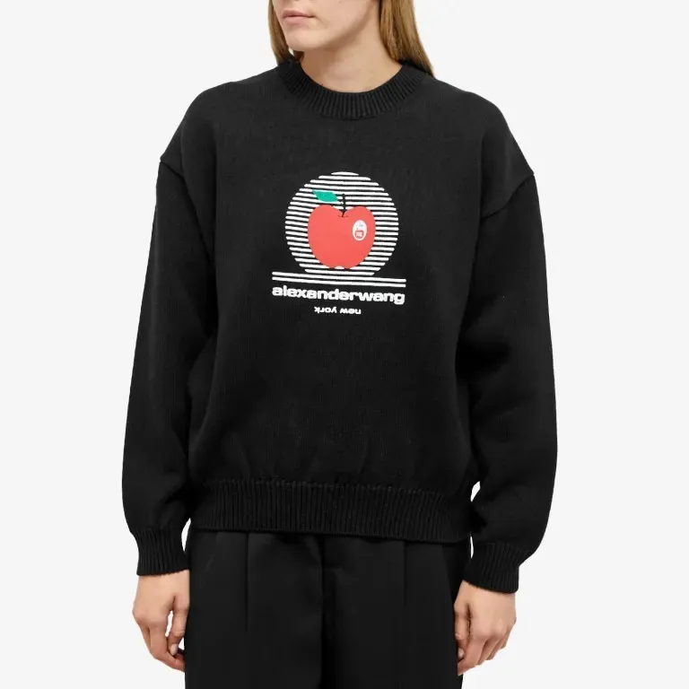 Alexander Wang  |Sweat Long Sleeves Plain Cotton Logo Hoodies & Sweatshirts