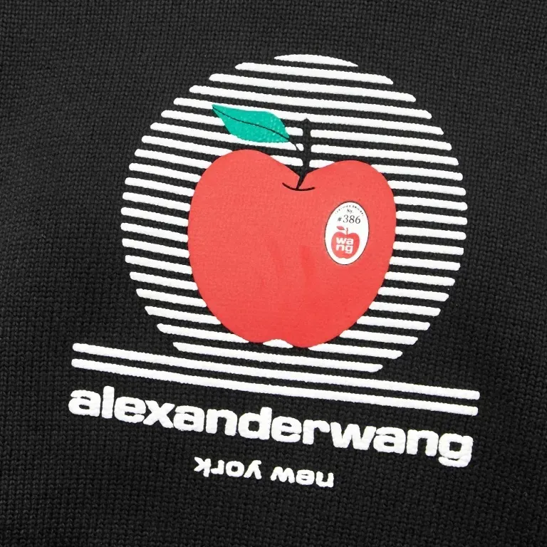 Alexander Wang  |Sweat Long Sleeves Plain Cotton Logo Hoodies & Sweatshirts