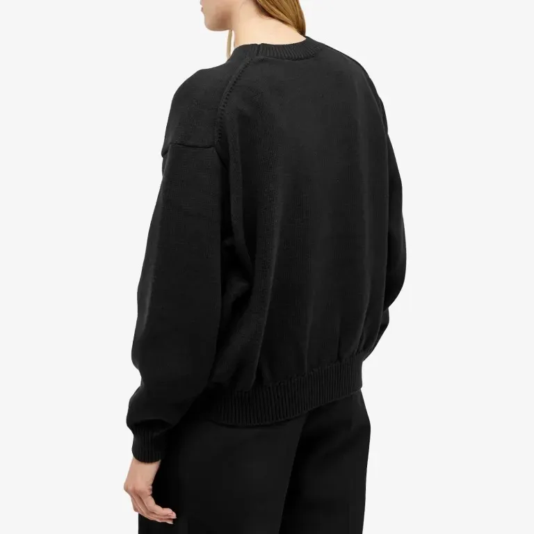 Alexander Wang  |Sweat Long Sleeves Plain Cotton Logo Hoodies & Sweatshirts