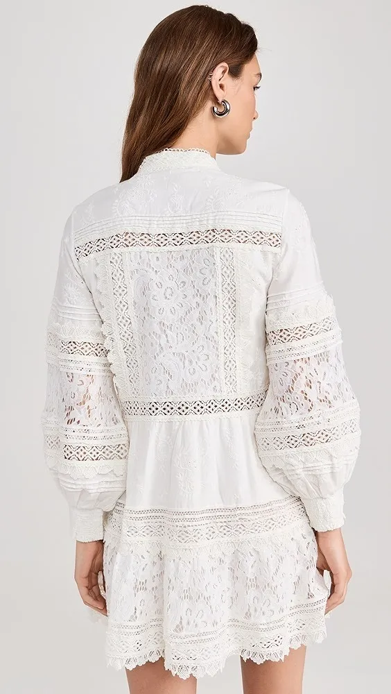 Alice+Olivia  |Lace Tunics