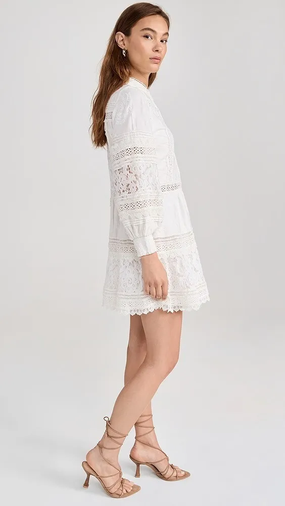 Alice+Olivia  |Lace Tunics