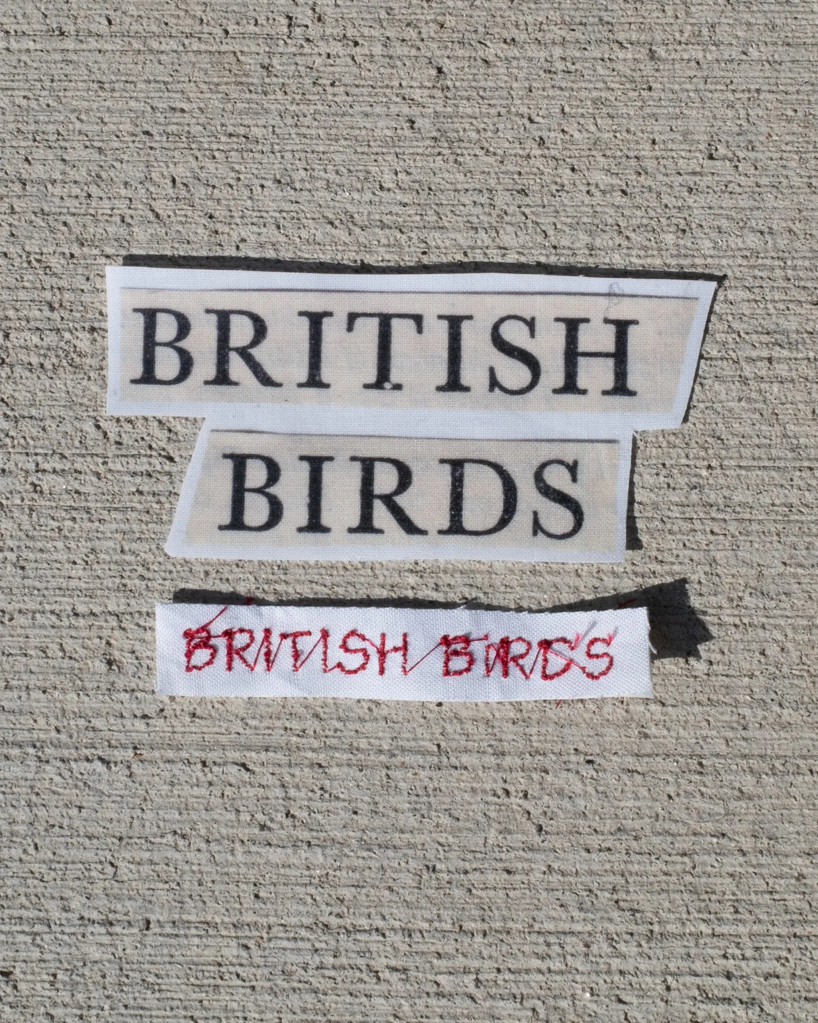 british birds hoodie