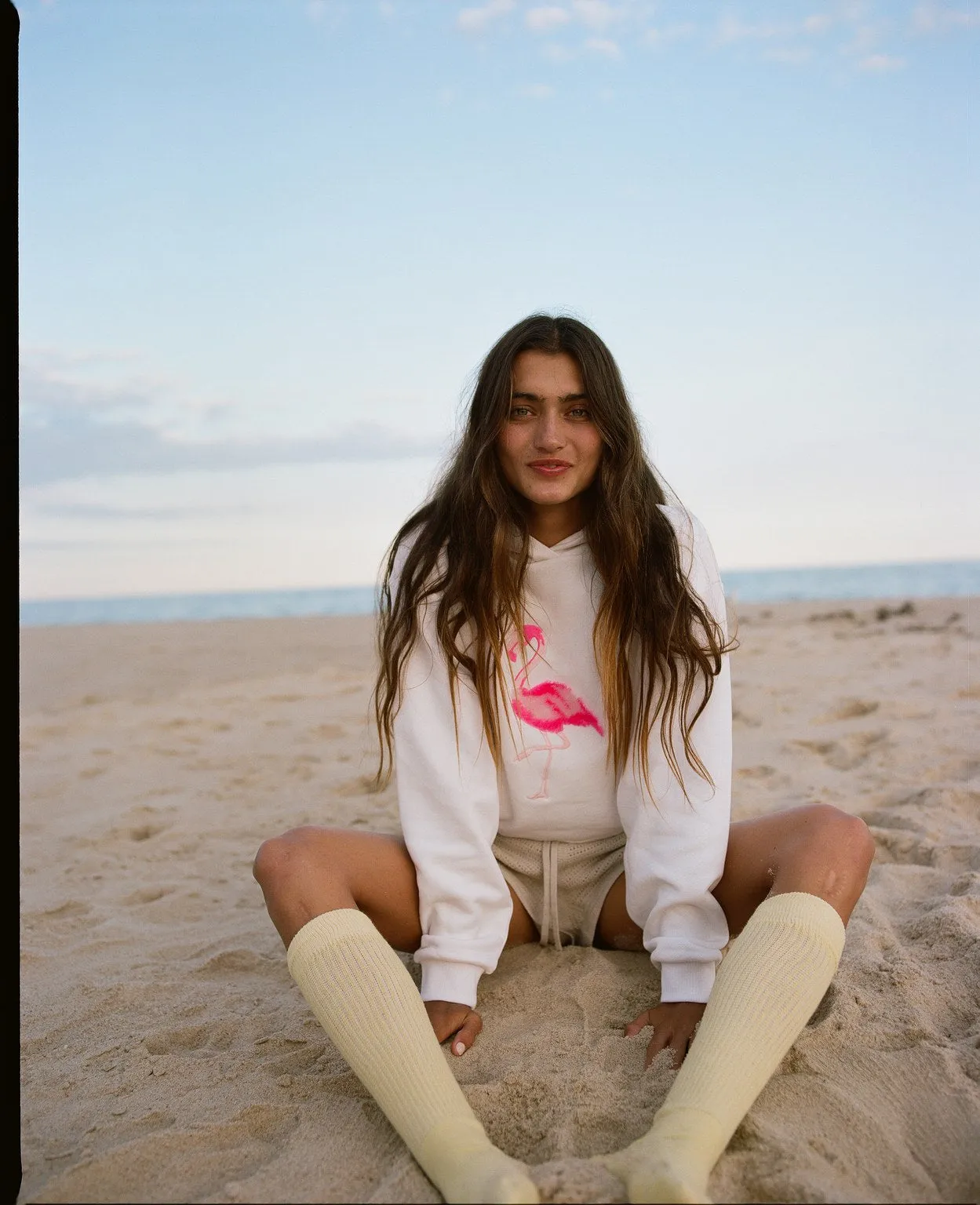 FLAMINGO CROP HOODIE