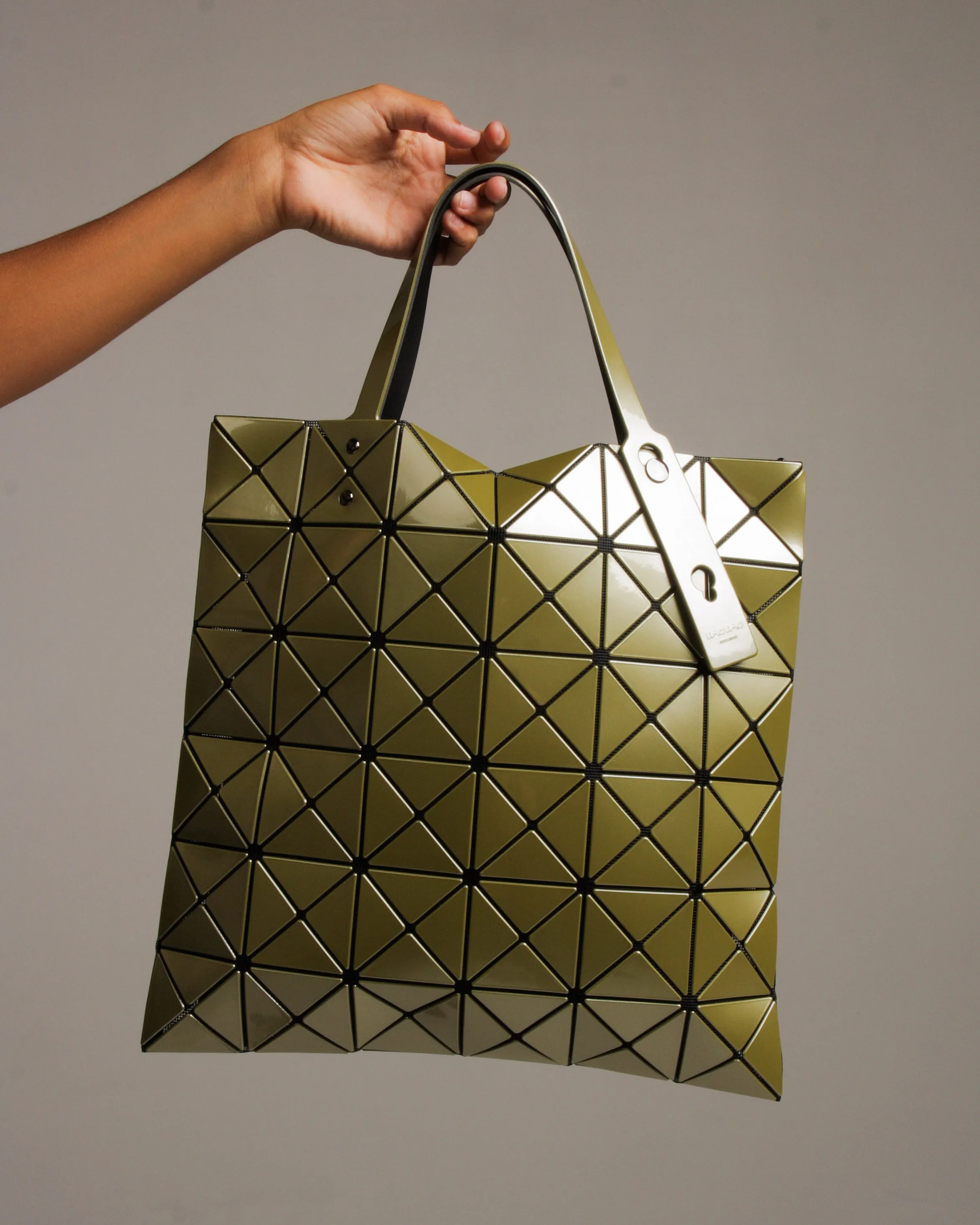 Olive and Taupe Medium Lucent Tote Bag